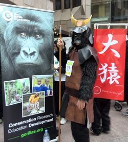 Samurai Gorilla Ozaru