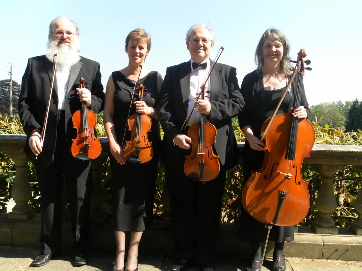 String quartet in country house